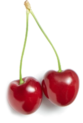 cherries on stem
